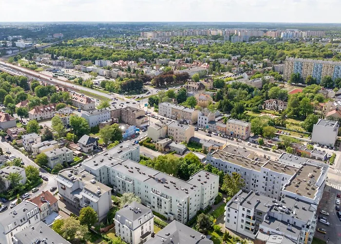 Treetop Near Mtp * 波兹南