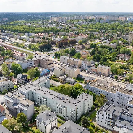 Treetop Near Mtp * Poznań
